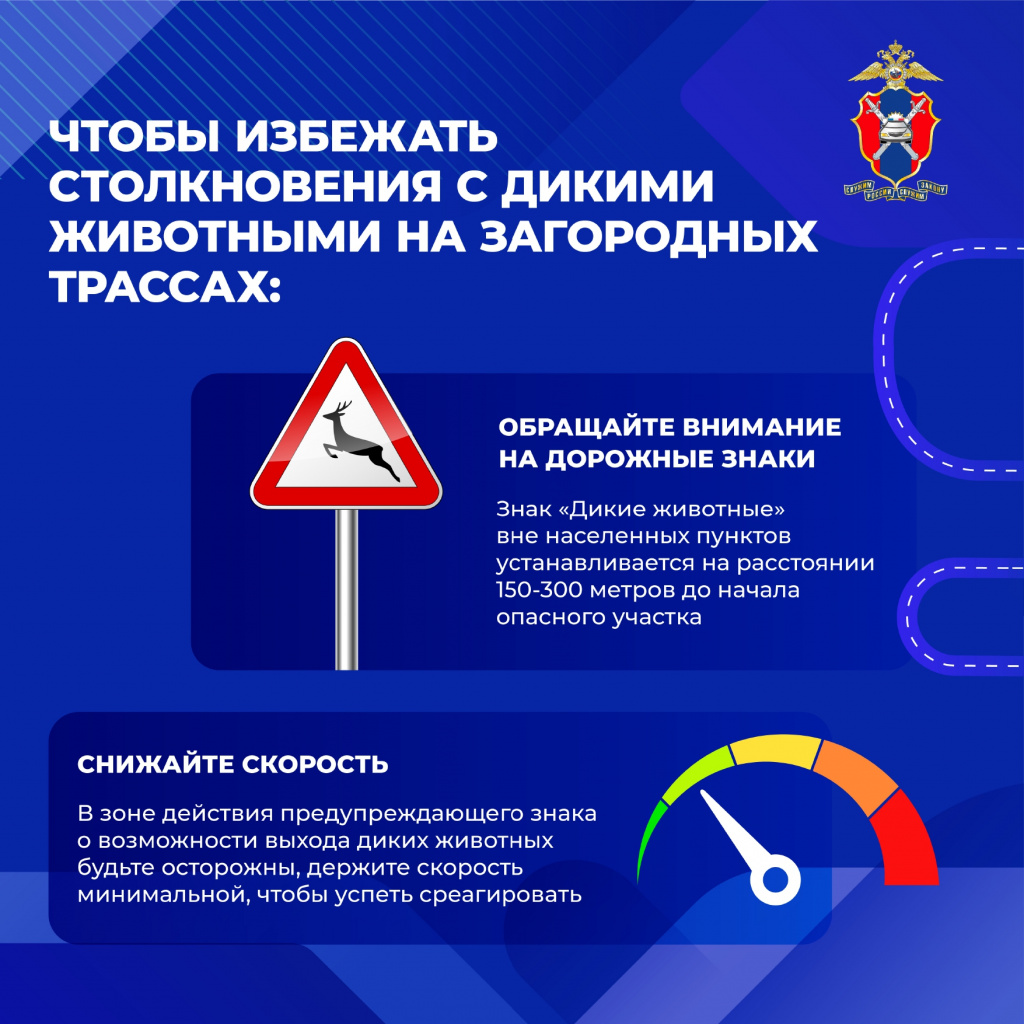 Животные на дороге(1)_page-0002.jpg