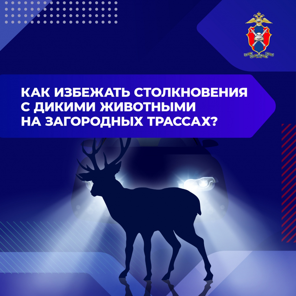 Животные на дороге(1)_page-0001.jpg