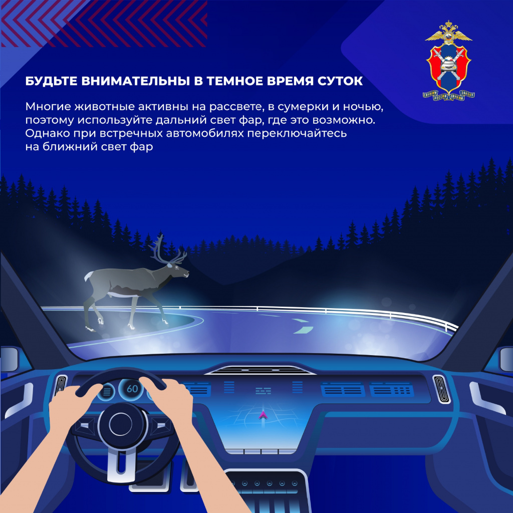 Животные на дороге(1)_page-0003.jpg