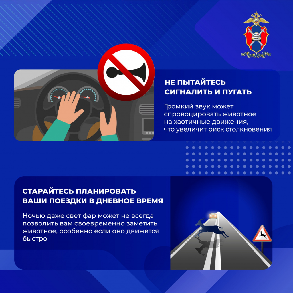 Животные на дороге(1)_page-0006.jpg